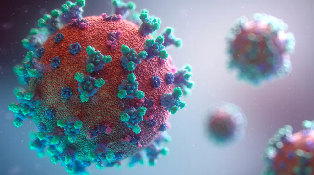 plumbers in charleston