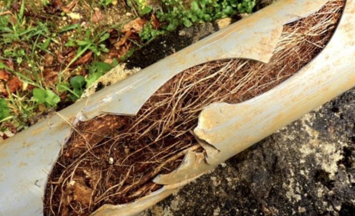 What Causes Sewer Line Blockages? Common Culprits and How to Avoid Them