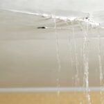 Roof Leaking