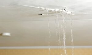 Roof Leaking