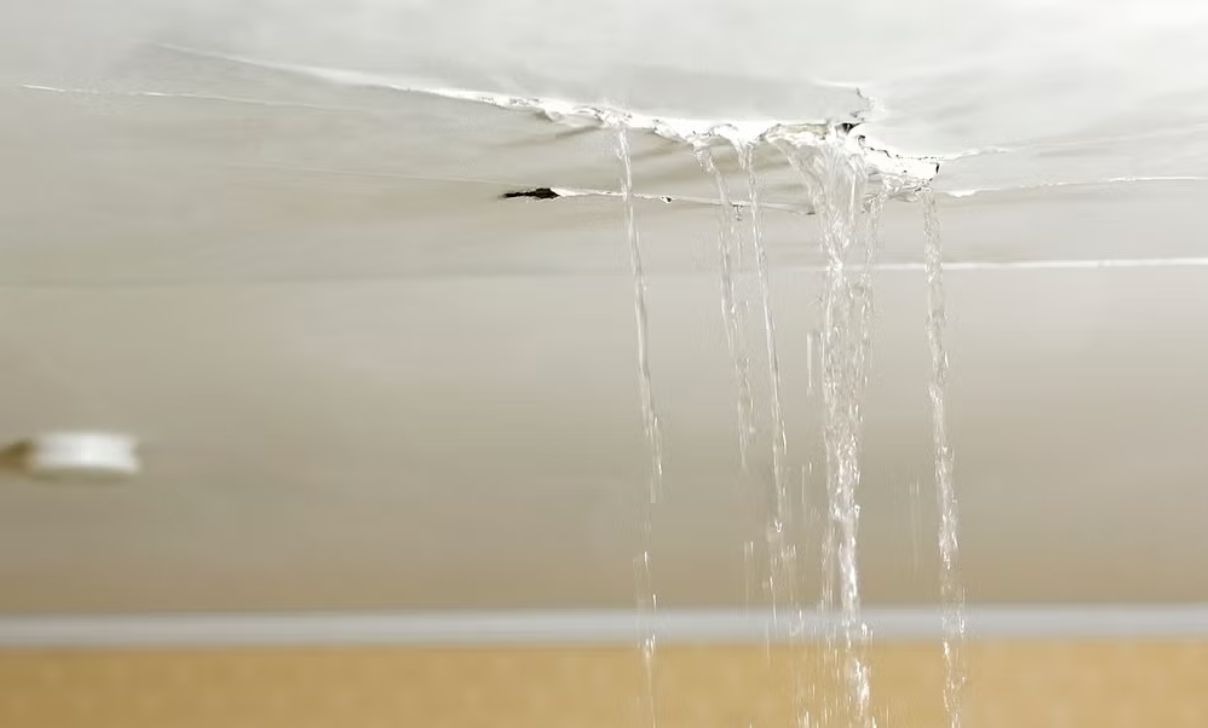 Roof Leaking