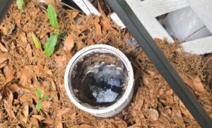 Sewer Clean Out