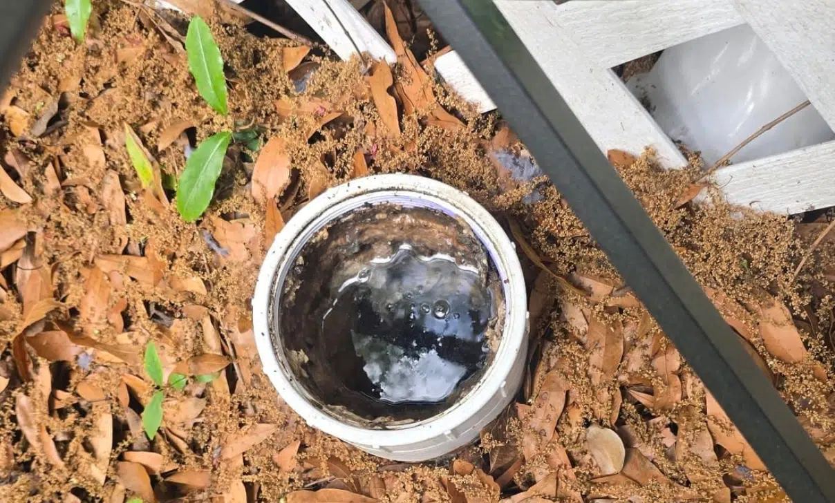 Sewer Clean Out