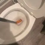 clogged toilet