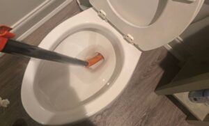 clogged toilet
