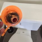 toilet flapper