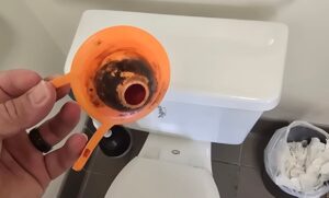 toilet flapper