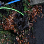 Clogged Drain