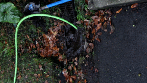 Clogged Drain