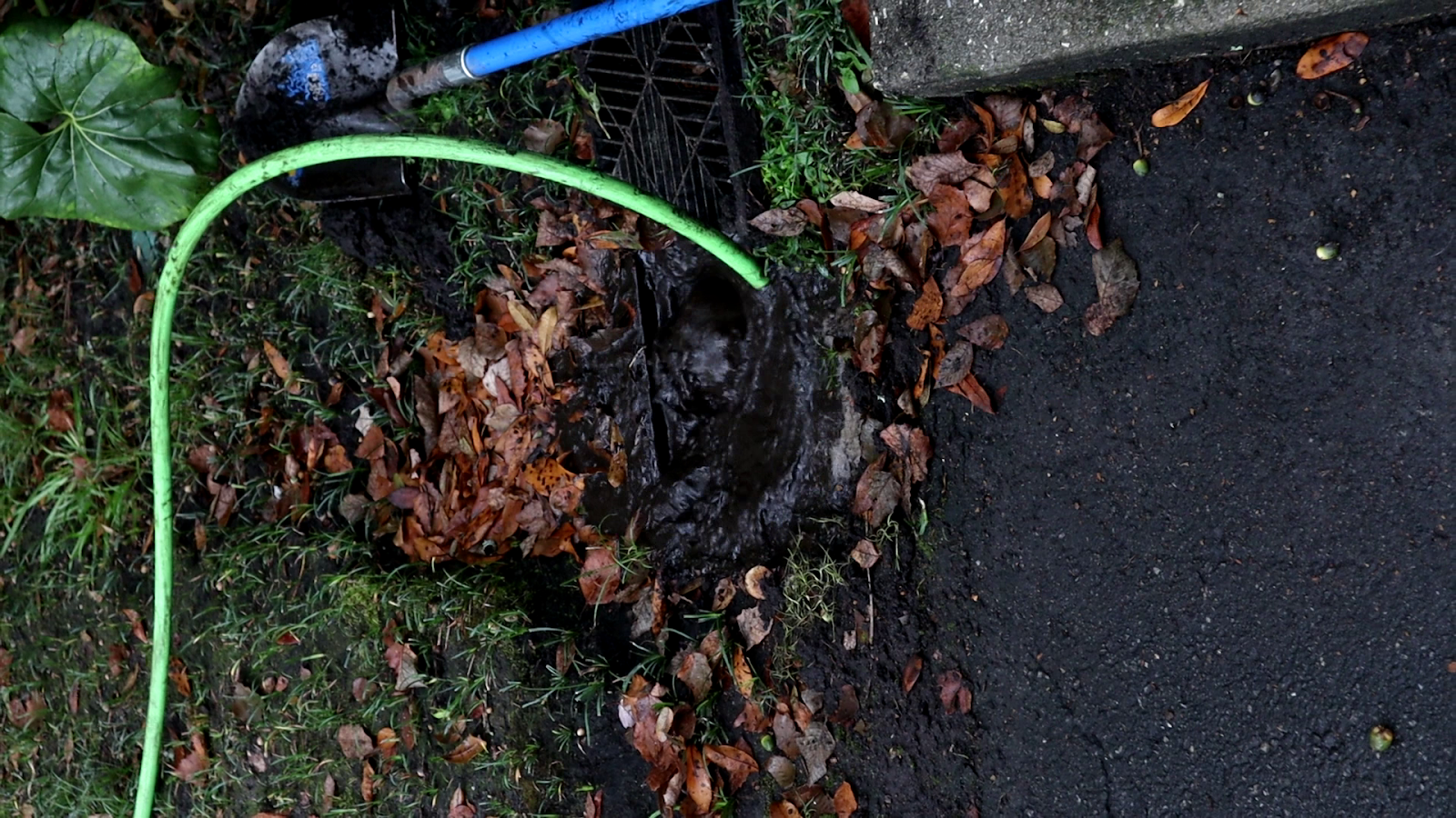 Clogged Drain
