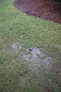 yard water leaking