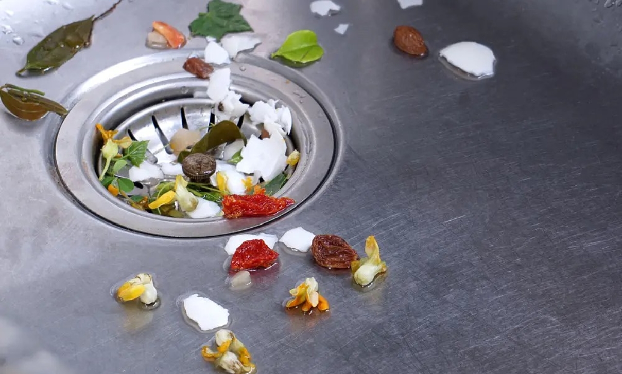 Food In Kitchen Sink