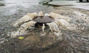 yard drains