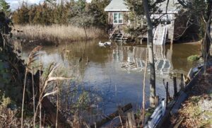Water in Yard