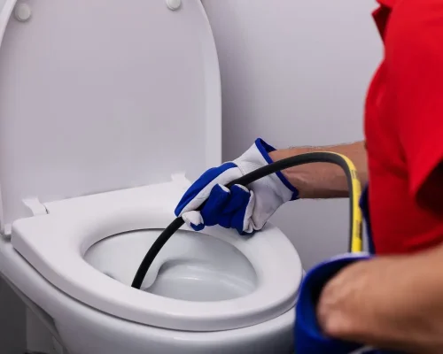 Clogged Toilet Service